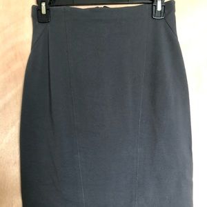 Ann Taylor Pencil Skirt
